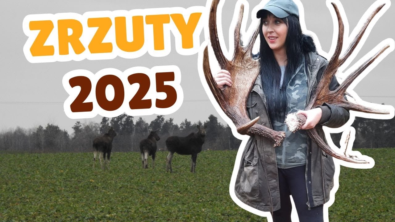 W TERENIE odc. 10 / SZUKAMY ZRZUTÓW