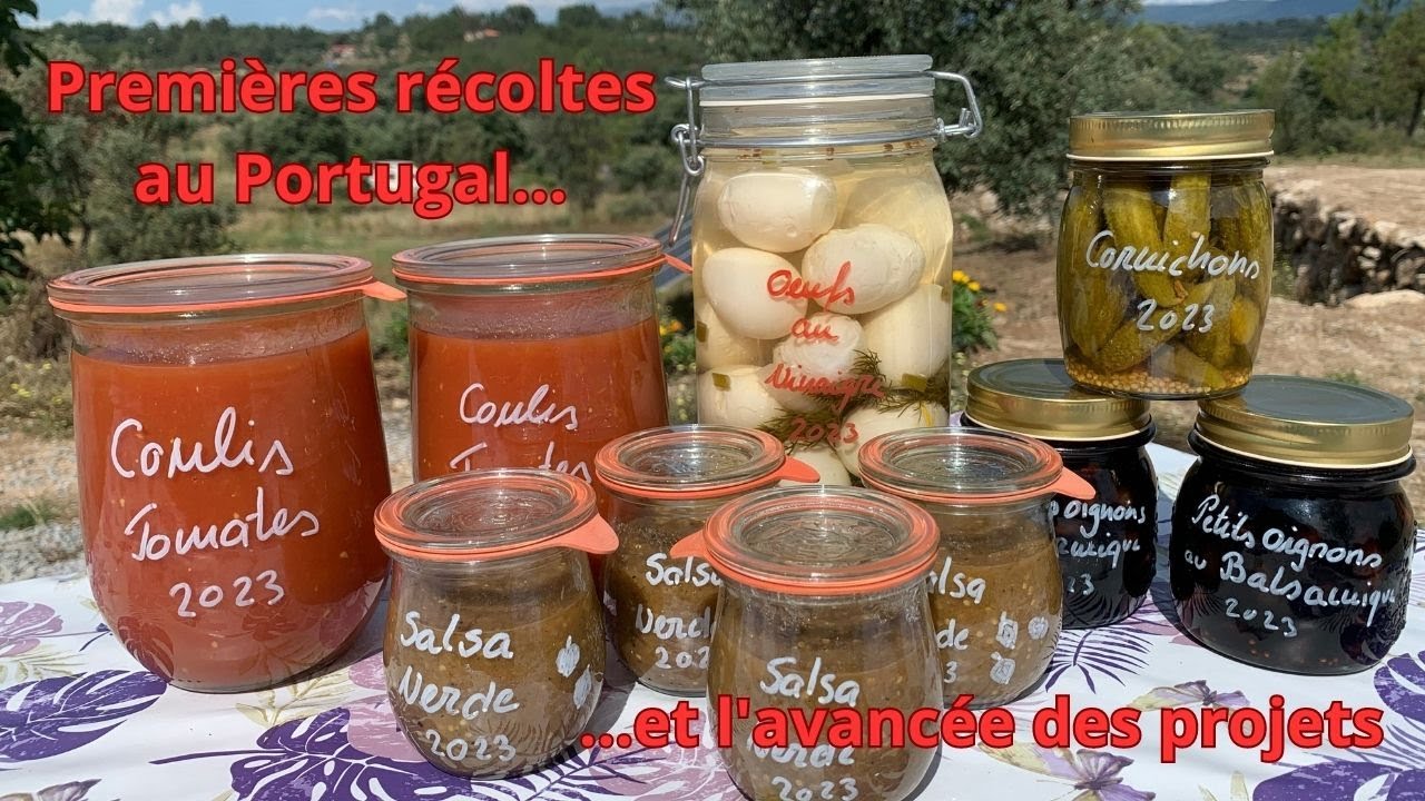 Premières récoltes au Portugal et l'avancée des projets