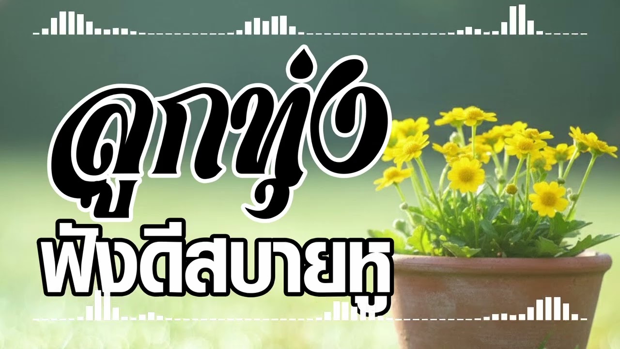 เพลงลูกทุ่งฟังดีสบายหู