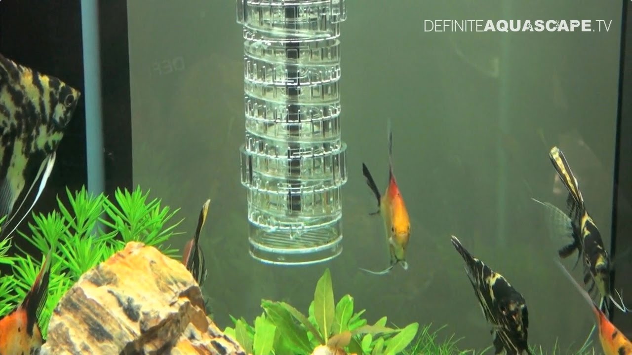 JBL products at InterZoo 2014 (pt. 3) - CO2 introduction