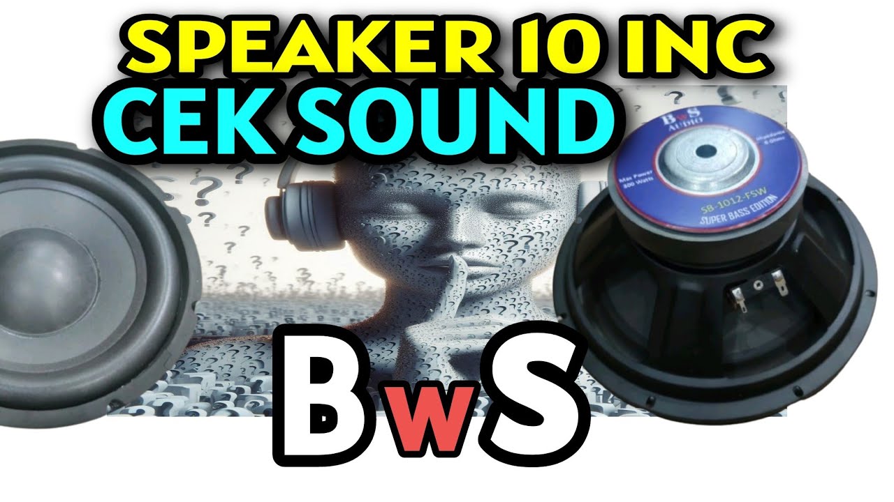 Speaker 10 inch BWS CEK SOUND