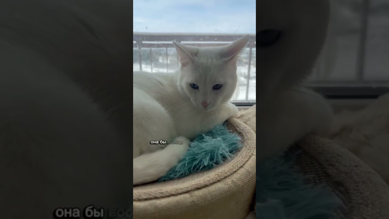 Как ведёт себя улица? 