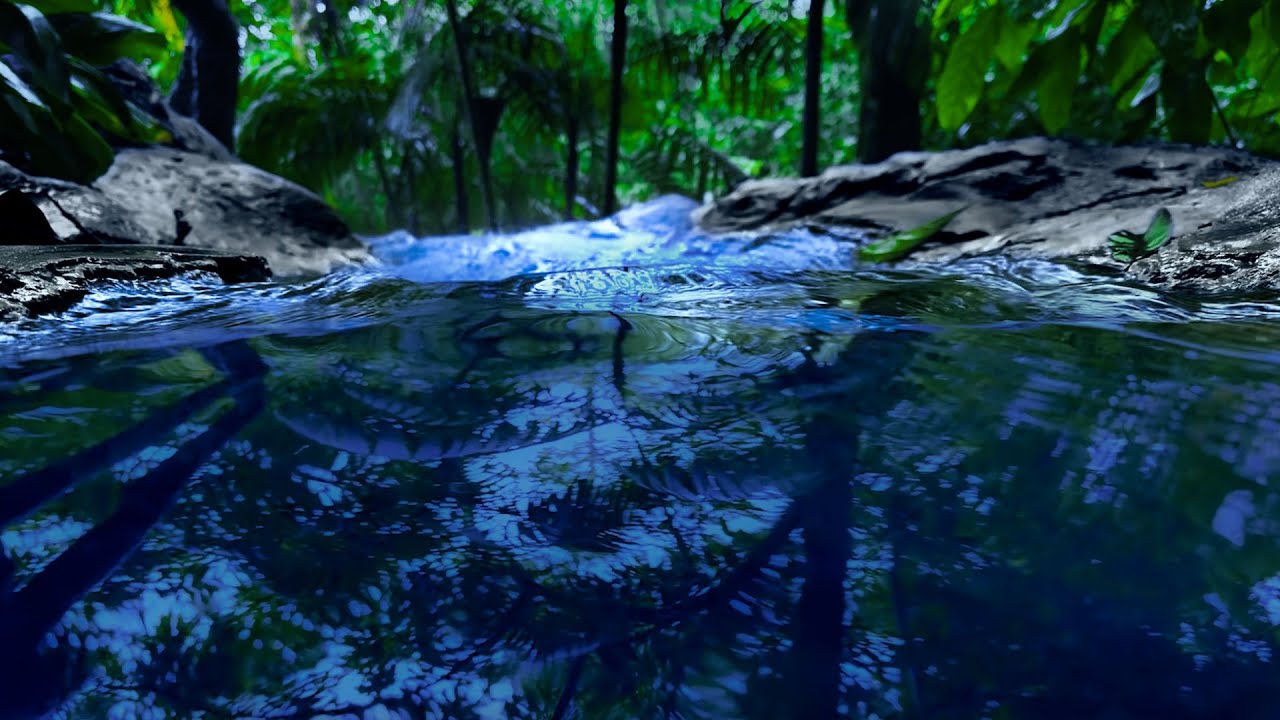 Rushing River Sounds to Sleep | 10 Hour Water Sounds for Sleeping