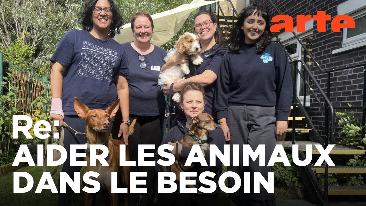 Pauvres ma&icirc;tres, pauvres b&ecirc;tes ! | ARTE Regards