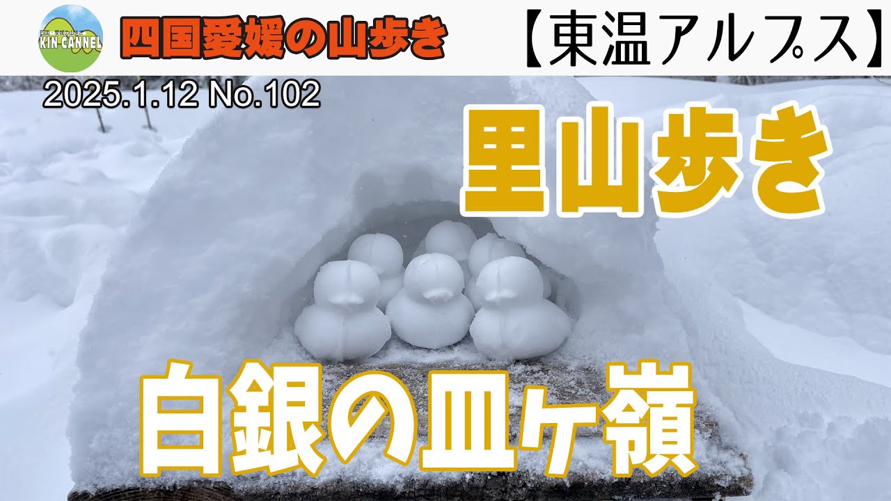 【東温アルプス】里山歩き　白銀の皿ヶ嶺　20250112