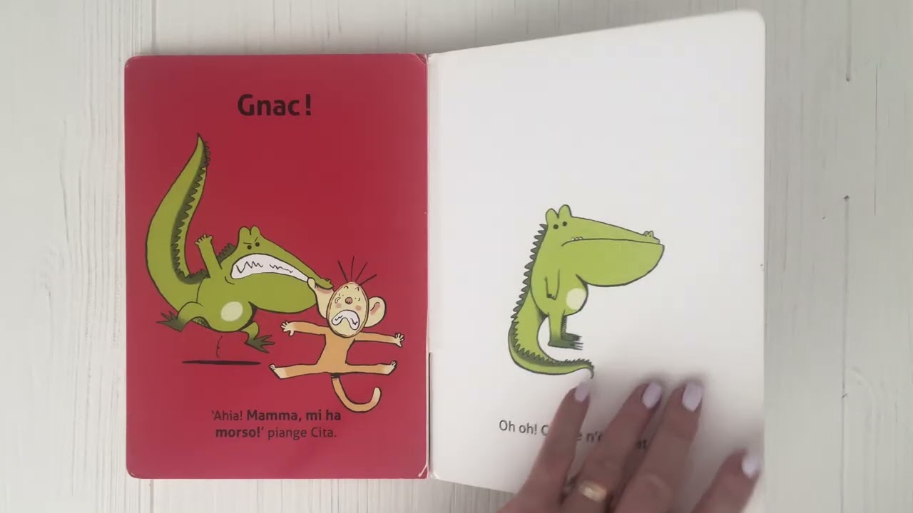 Non si morde! 🐊🦓🐒🦛