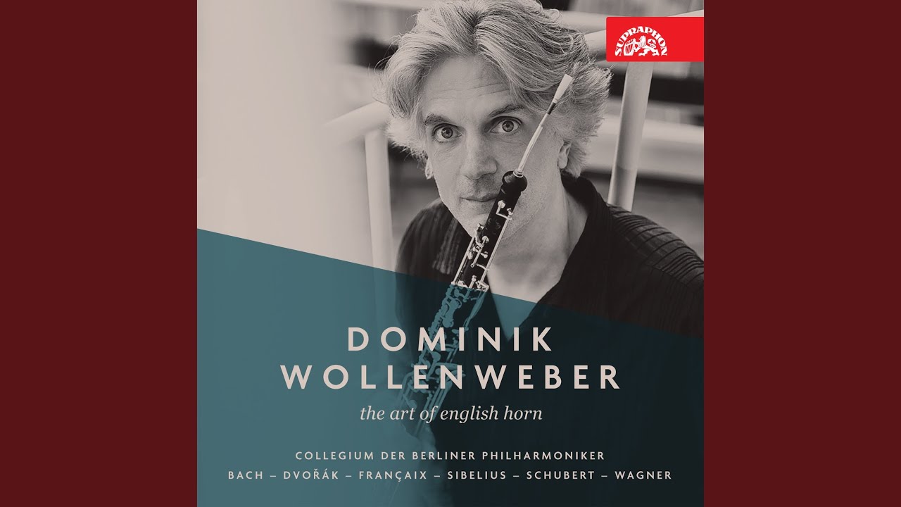 Quartet for Cor Anglais, Violin, Viola and Cello - Andanino