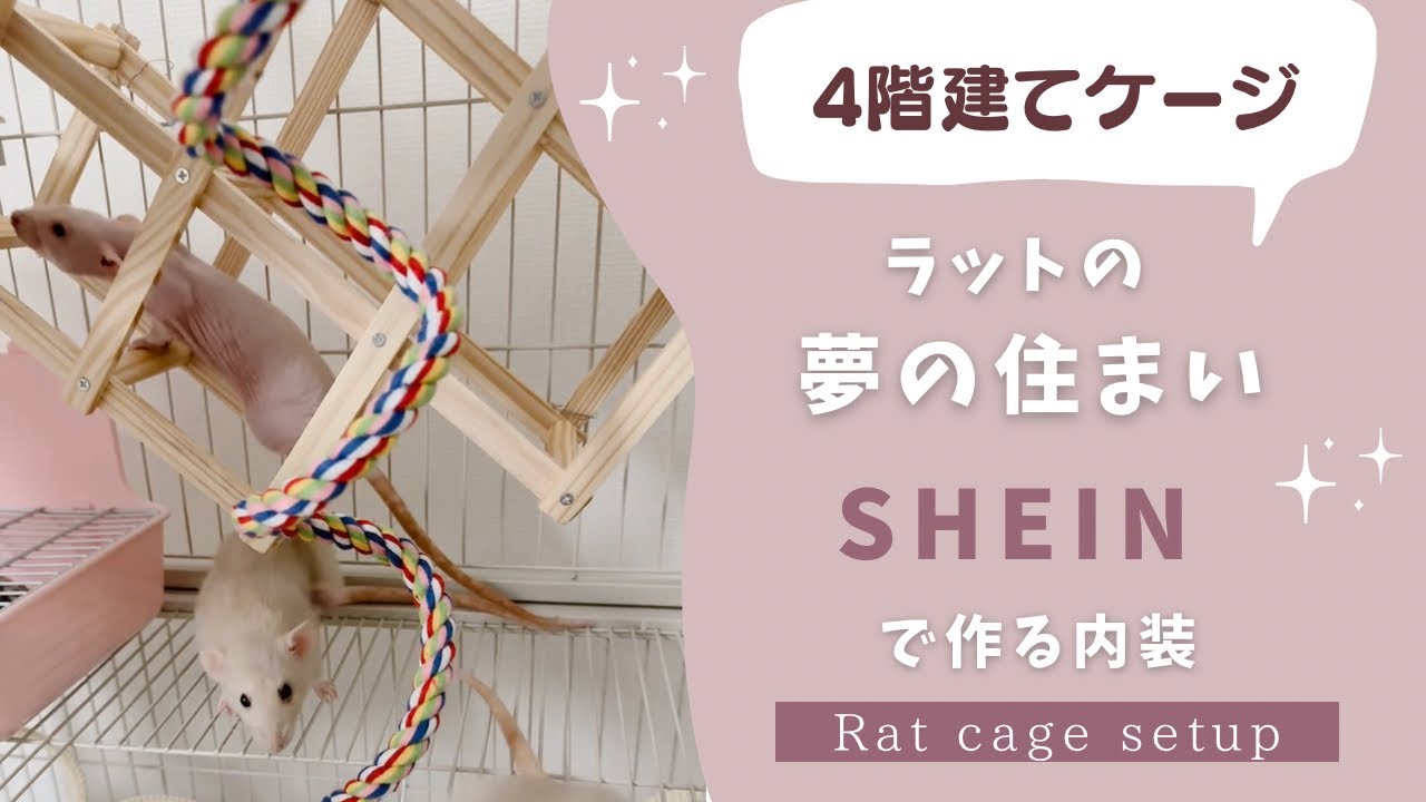 ラットの夢の住まい🐭🏠SHEINで買った素晴らしいケージの内装たち❕【SHEIN購入品】