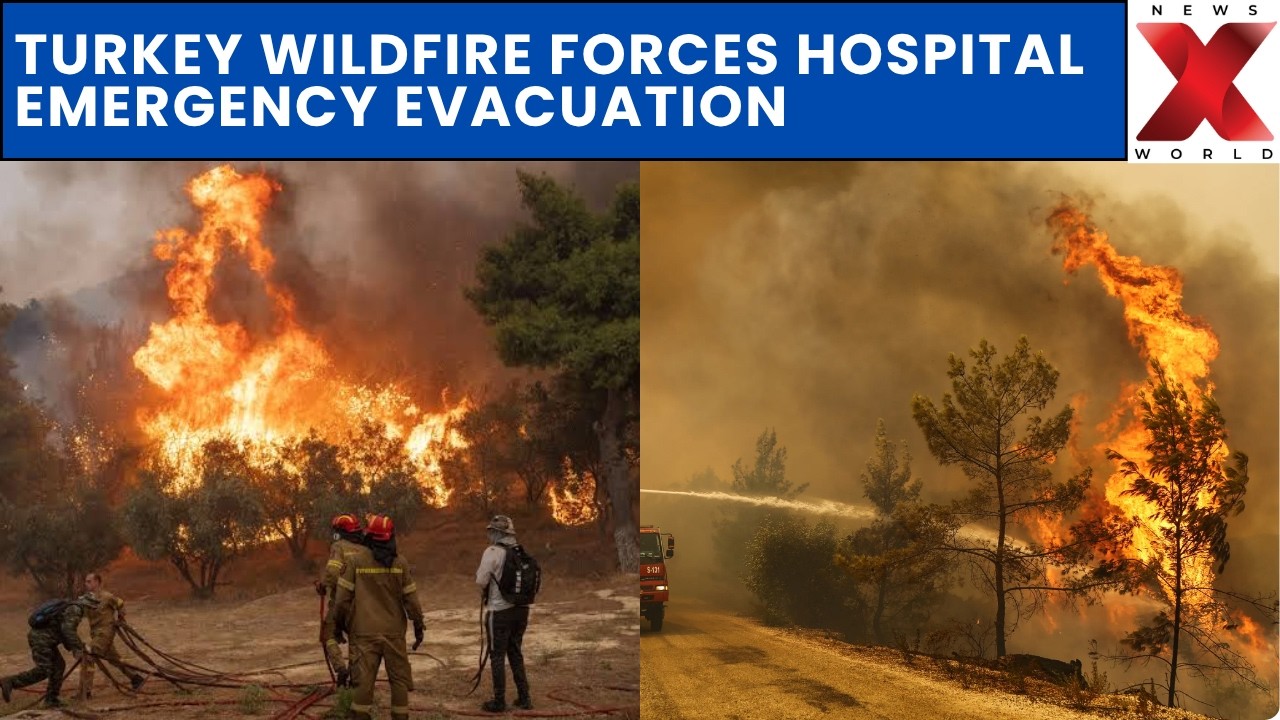 Turkey Wildfire Forces Hospital Evacuation | Massive Firefight Underway | NewsX World