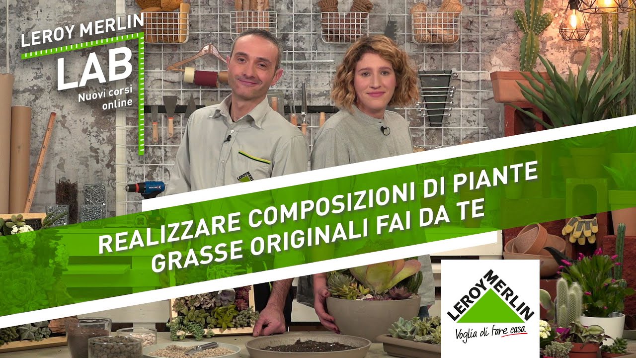 Leroy Merlin Lab: realizzare composizioni di piante grasse originali fai da te | Leroy Merlin