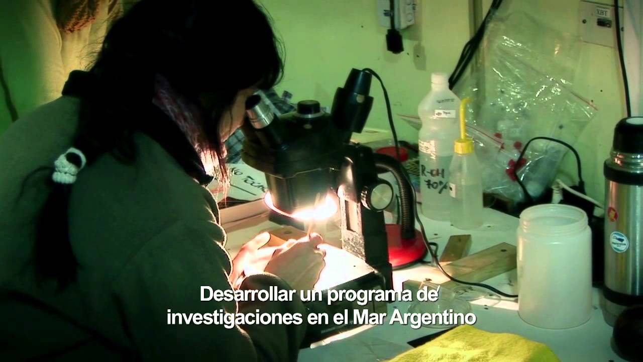 Iniciativa Pampa Azul. Primer Proyecto estrat&eacute;gico en el Atl&aacute;ntico Sur. Institucional