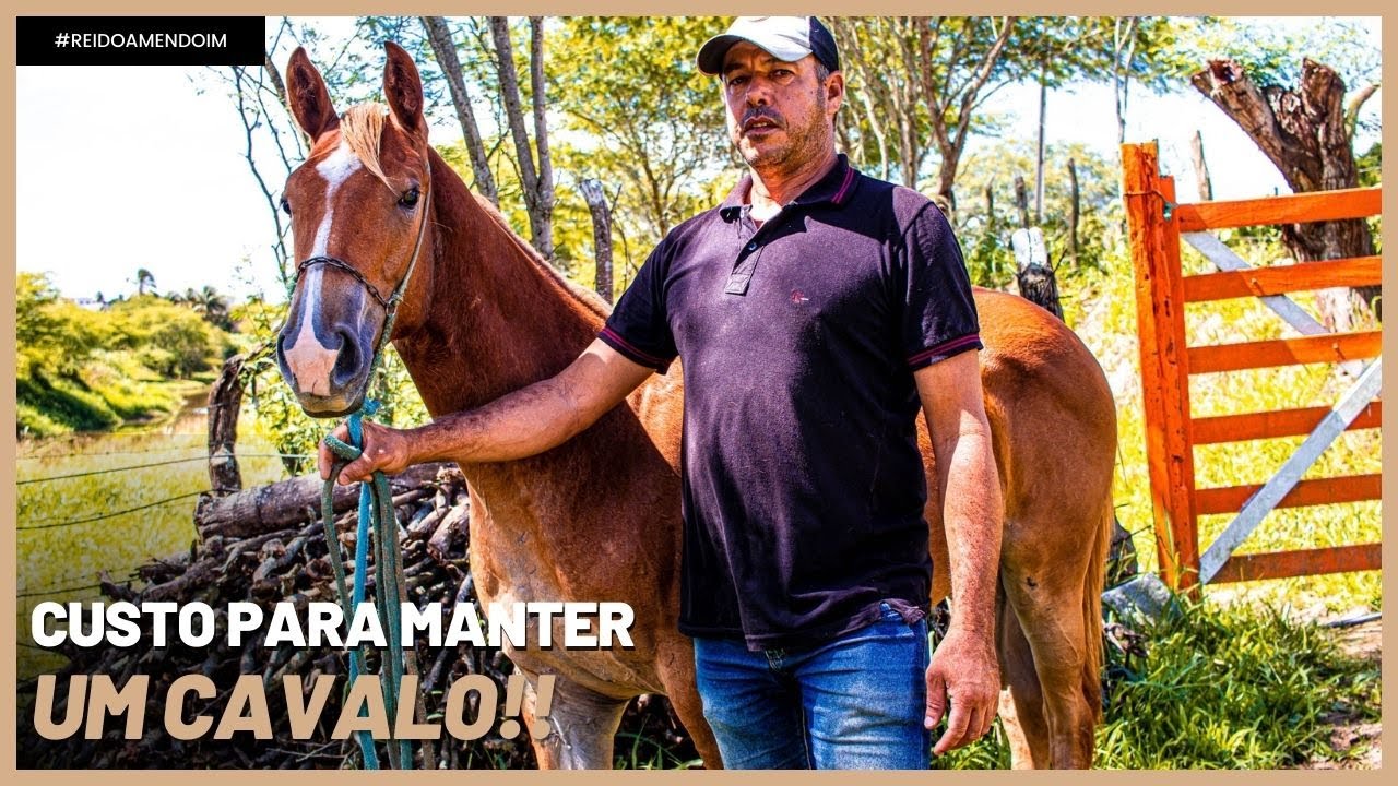 QUANTO CUSTA PARA MANTER E  CRIAR UM CAVALO!?