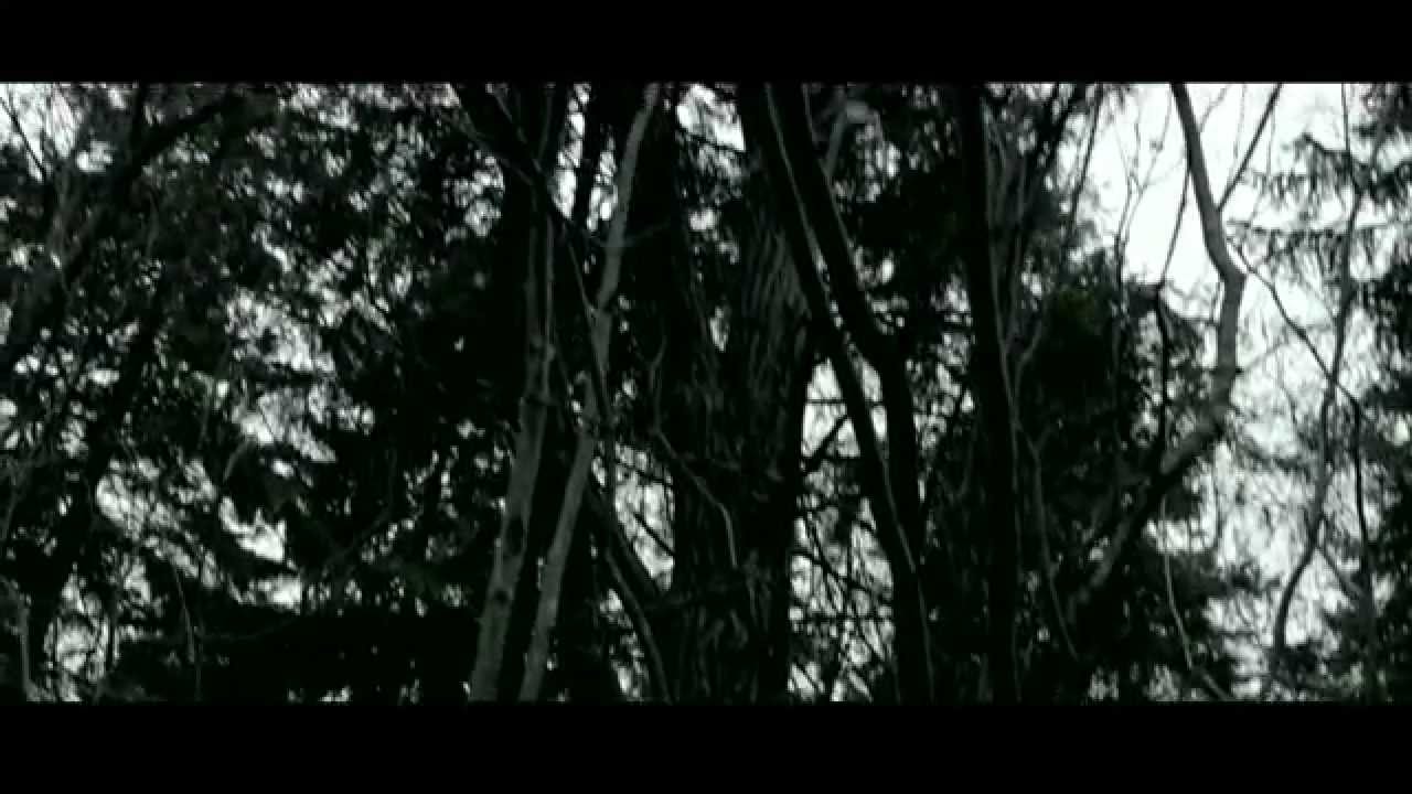 Avoid Dave - What About Me? [Official]