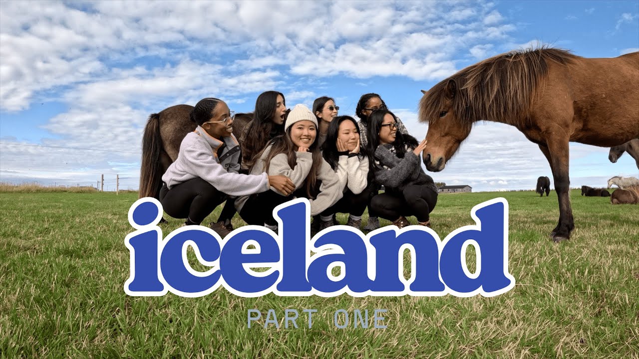 iceland pt.1: Blue Lagoon, waterfalls, petting horses, Black Sand Beach 🧊🐴