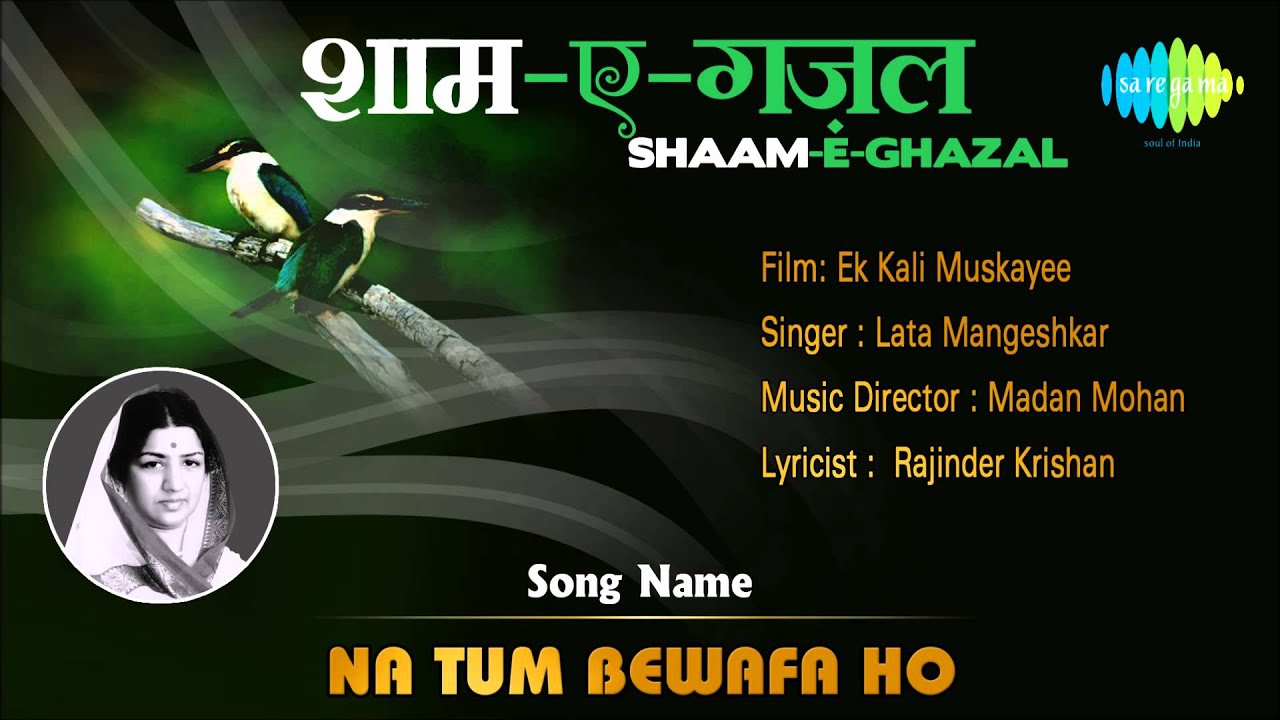Na Tum Bewafa Ho | Shaam-E-Ghazal | Ek Kali Muskayee | Lata Mangeshkar
