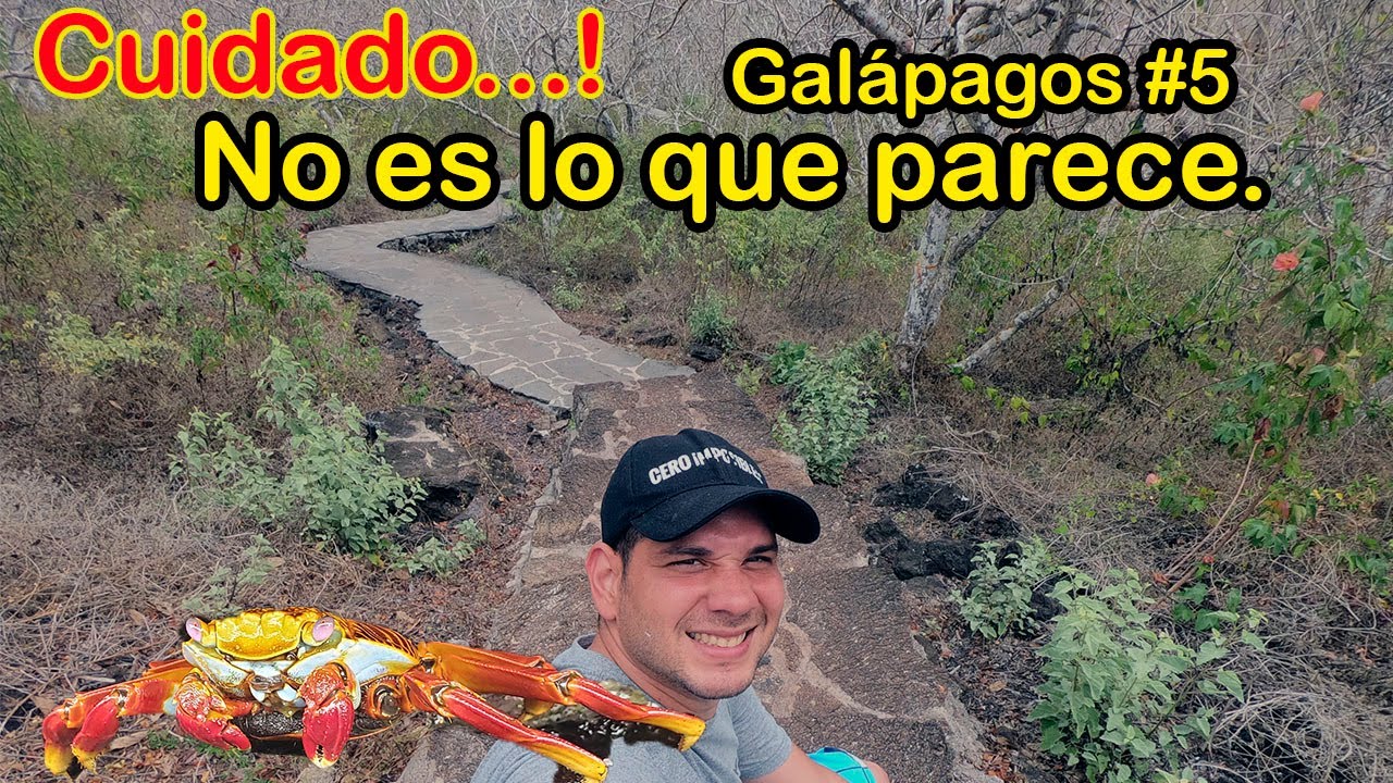 Cerro Tijeretas. Galápagos #5 . Albert Oleaga. Ecuador