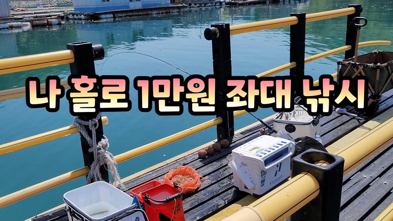 전갱이가 너무 잘나와서 조기 철수했습니다 (1일 좌대 이용료 1만원)