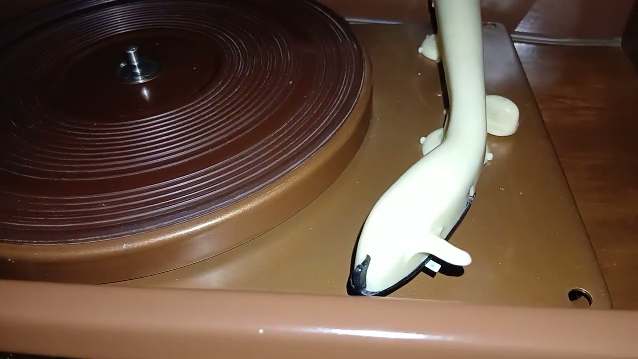 Прикупил виниловую грампластинку . 