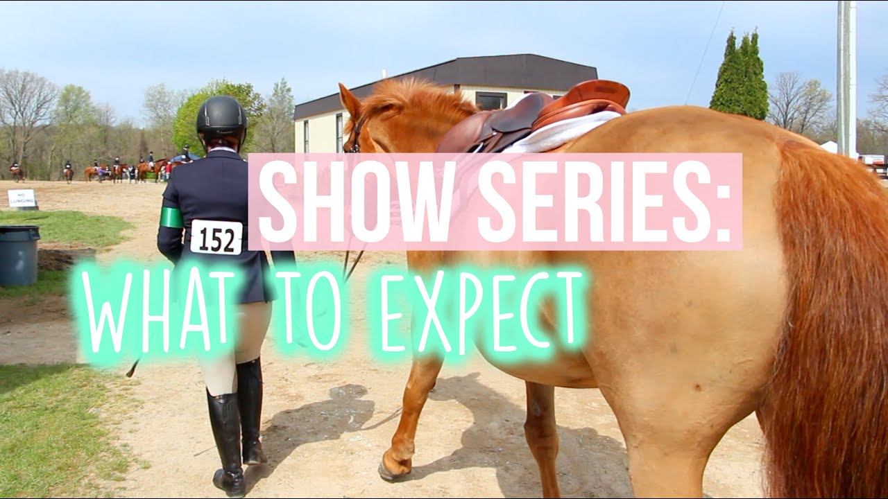 Show Series: What To Expect At Shows | Equestrian Prep