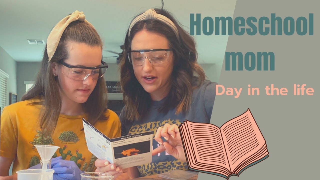 DAY IN THE LIFE OF A HOMESCHOOLING MOM||ORDINARY DAY + GROCERY HAUL+NEW COFFEE ORDER