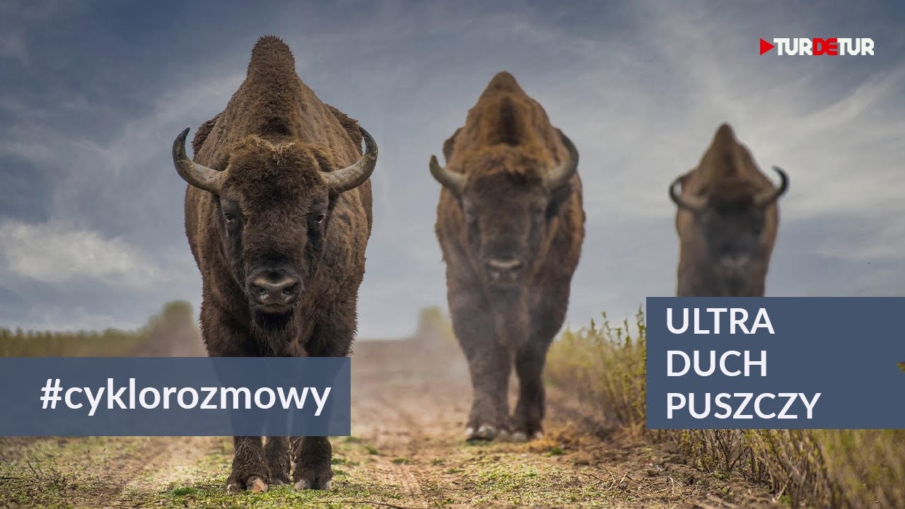 Ultra Duch Puszczy: Zapowiedź II edycji | rozmowa TurDeTur