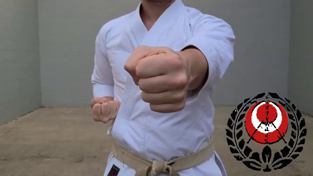 Karate Moves | TATE TSUKI - Vertical Fist Punch