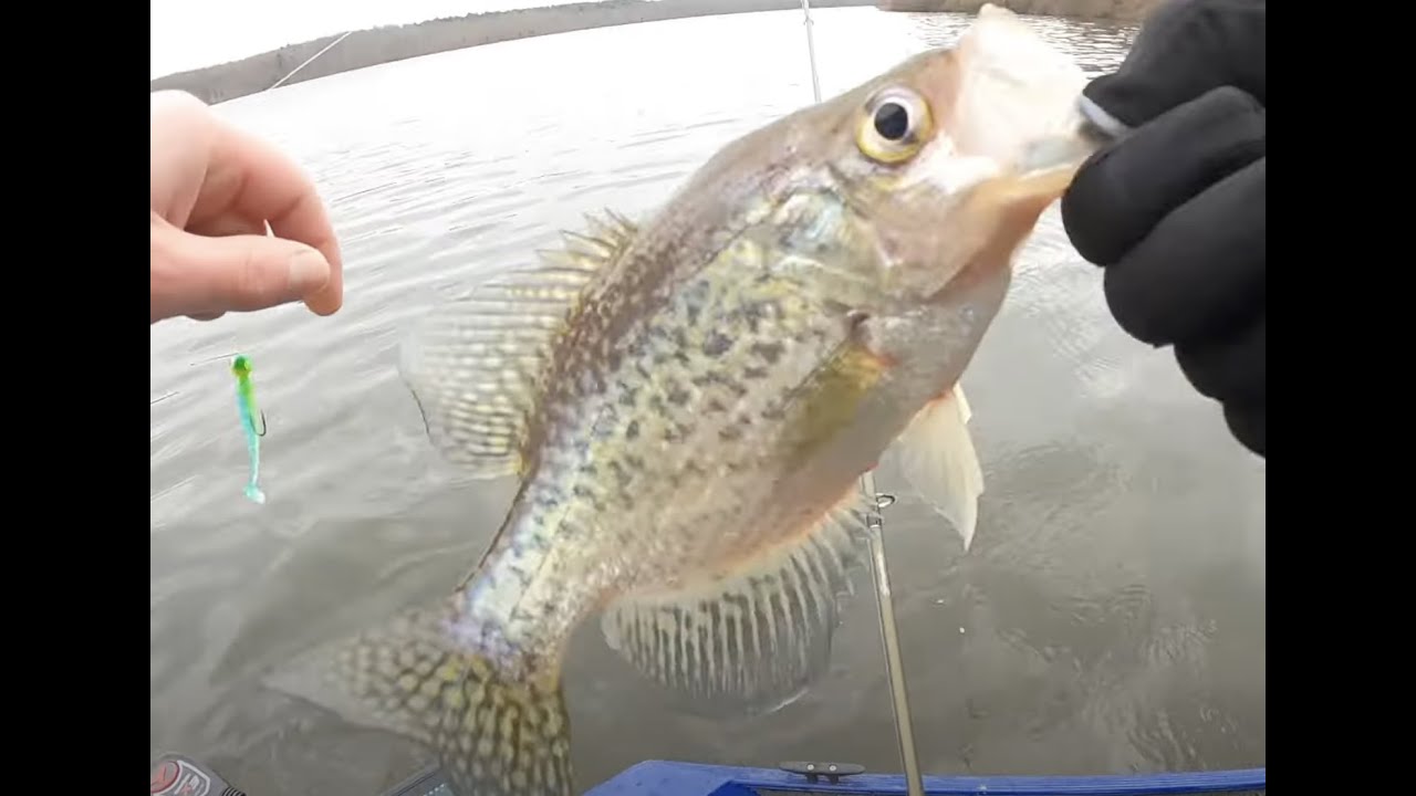 Mid Winter Crappie Fishing - Open Water