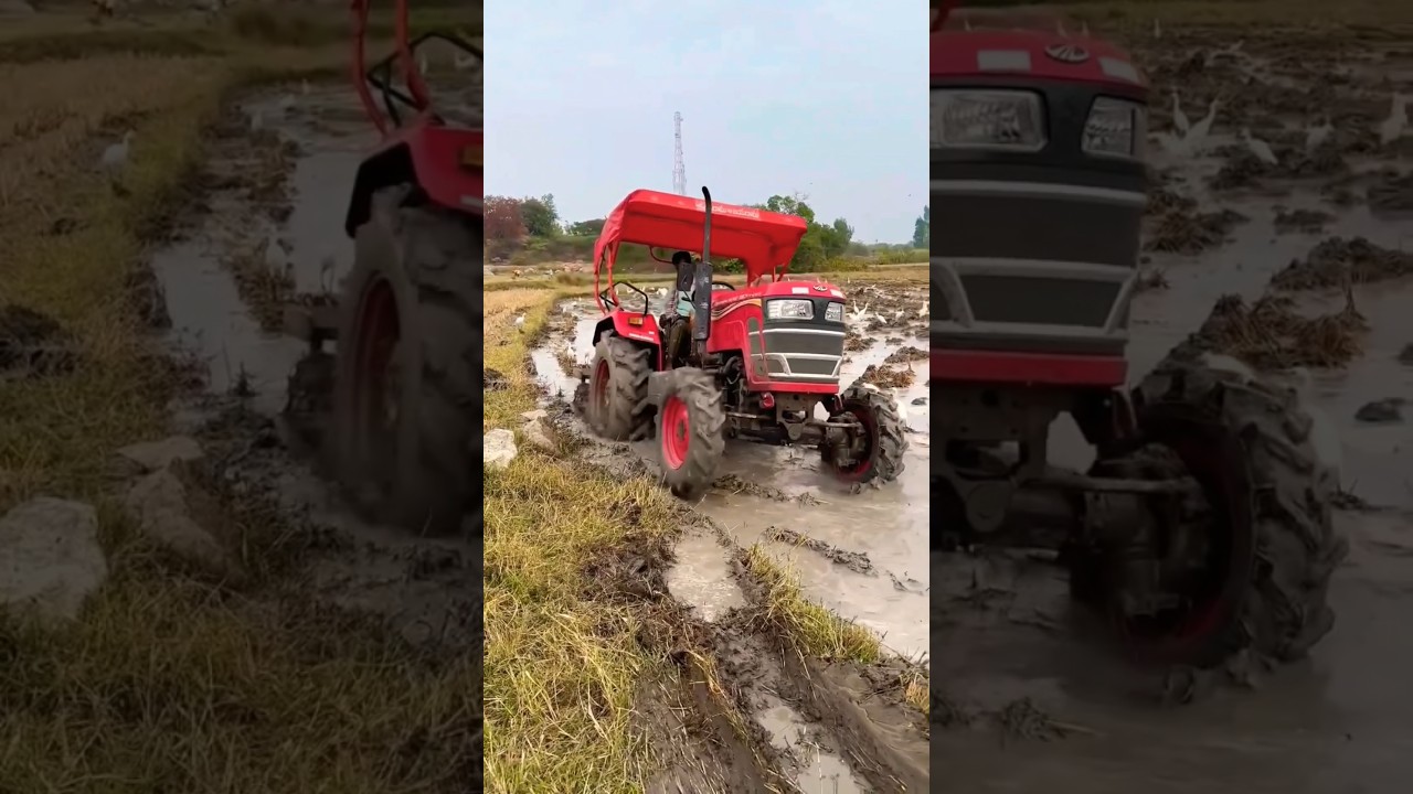 Mahindra Yuvo TECH+475DI 4&times;4 With cultivator #tractor #mahindratractors #trending #shorts #farming