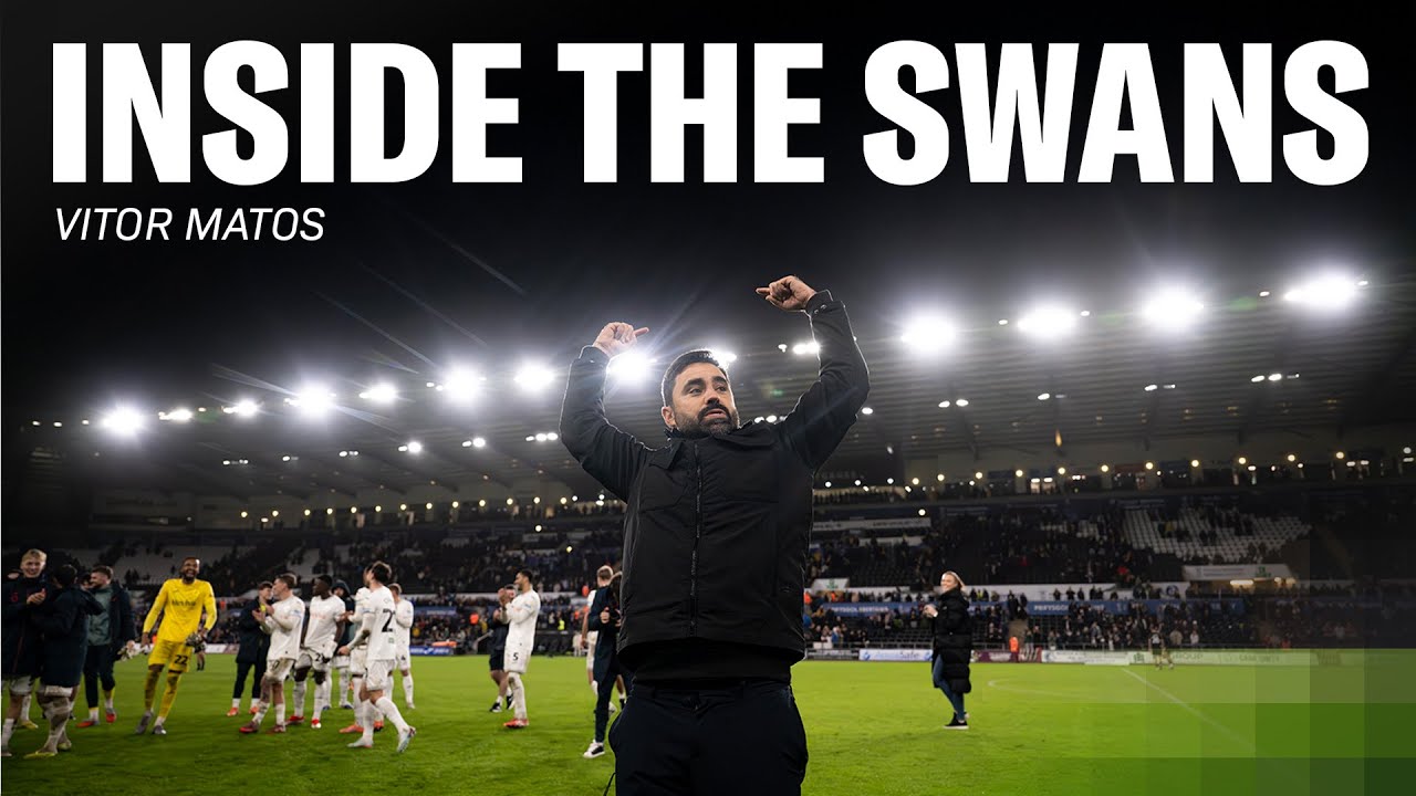 Inside the Swans | Vitor Matos