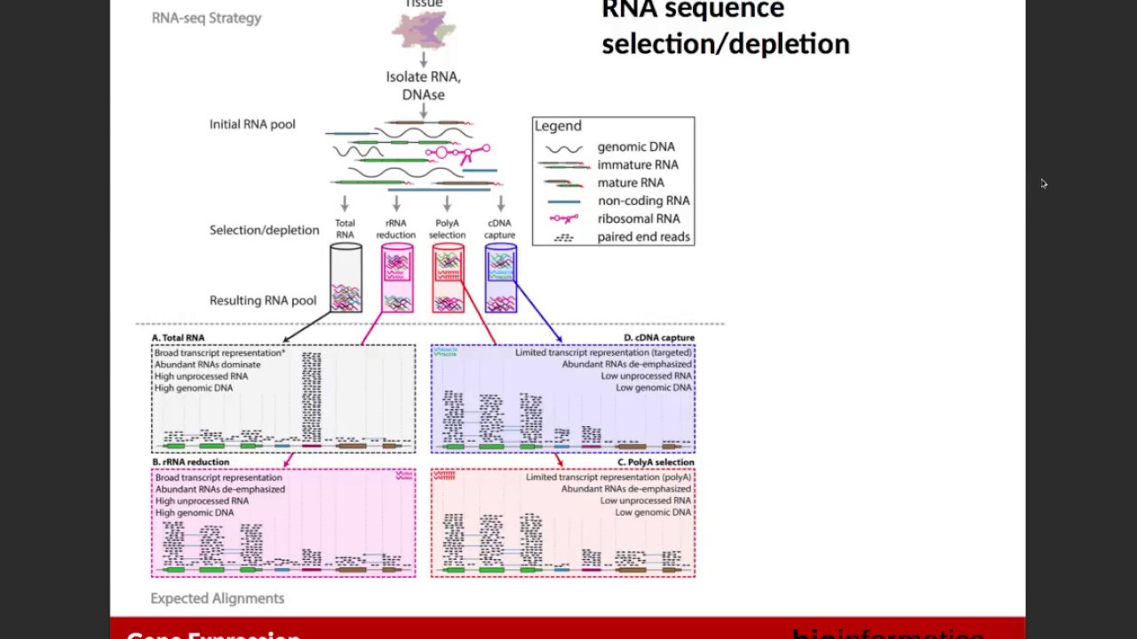 Gene Expression (RNA-Seq)