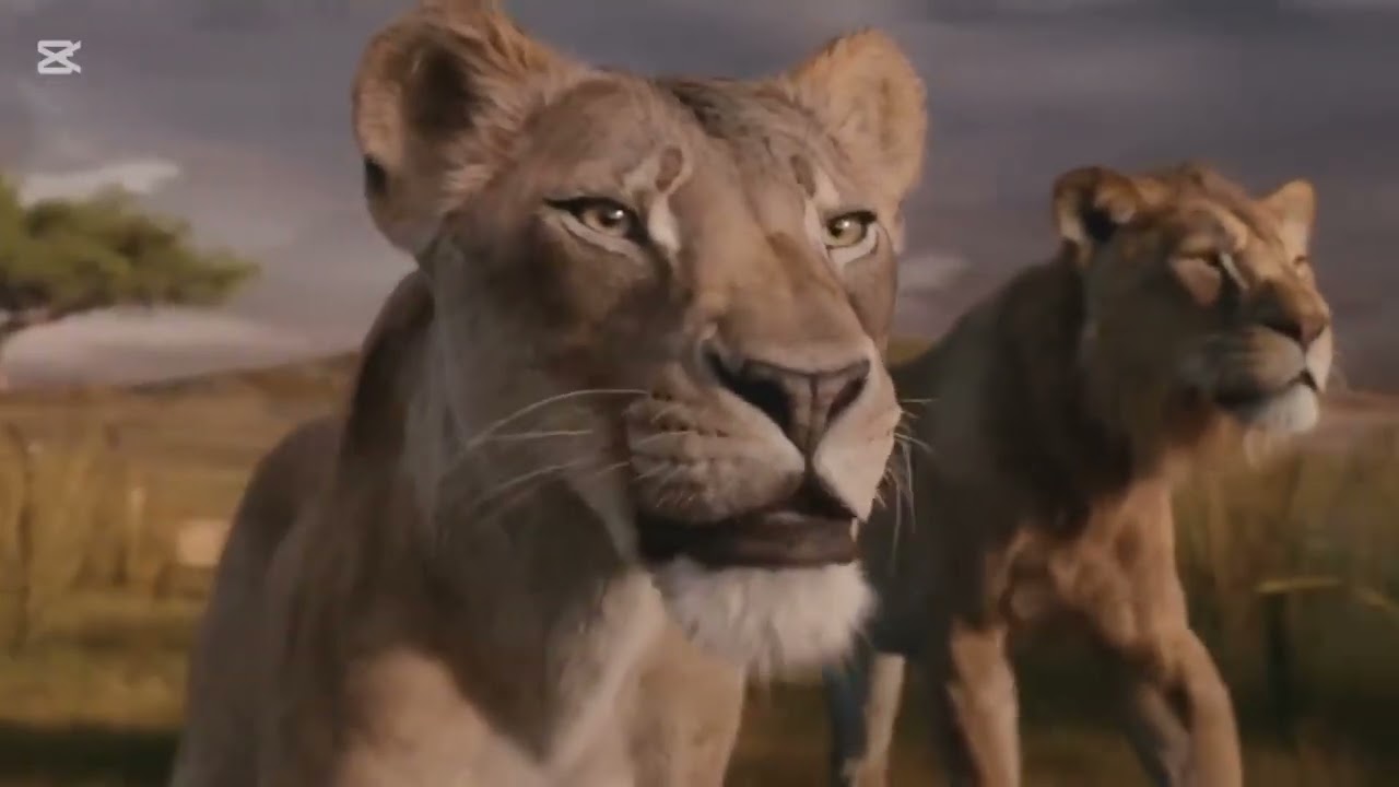 Mufasa: The Lion king(2025) movie explained in urdu/hindi