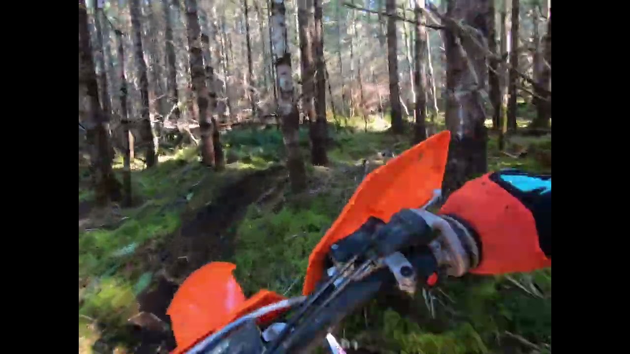 Berm Ban