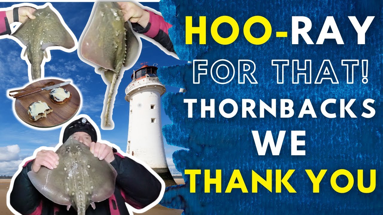 The Biggest Thornback Rays for the Channel | Day and Night Fishing The River Mersey Sea Fishing UK