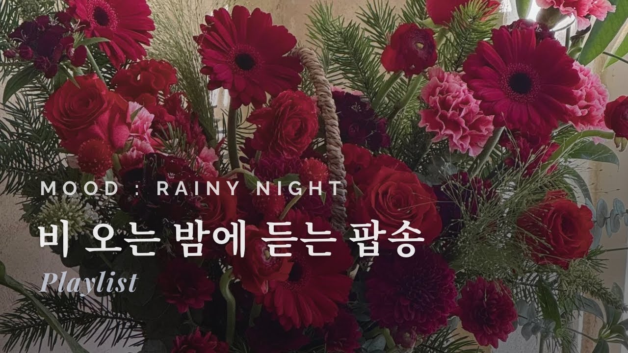 Rainy Night Pop 🌙 | 비 오는 밤, 조용히 듣는 감성 인디 팝 플레이리스트