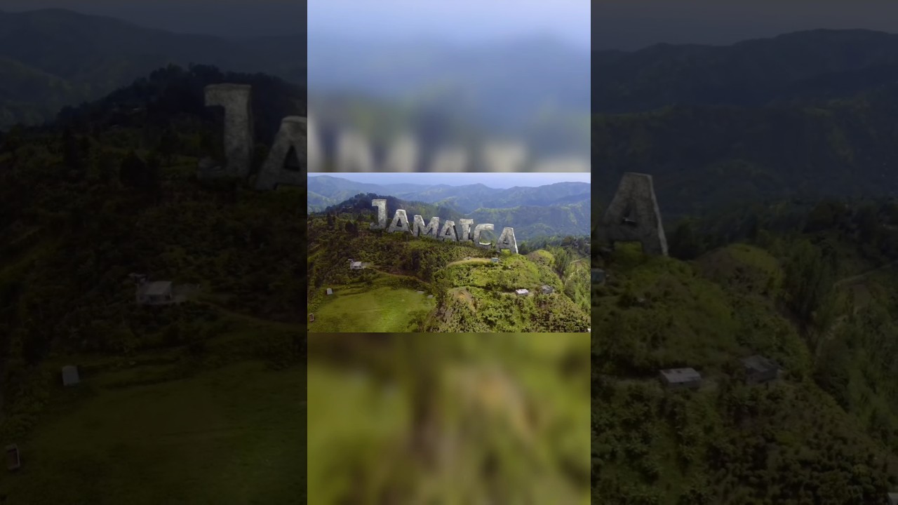 100 house donate 🏠