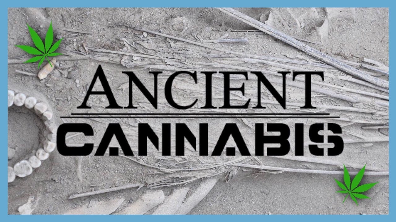 ANCIENT CANNABIS | news nug | CoralReefer