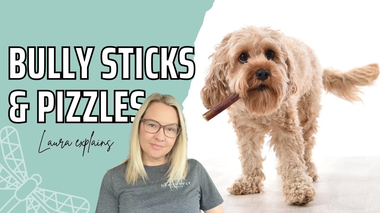 What are the BEST Bully Sticks for Dogs?