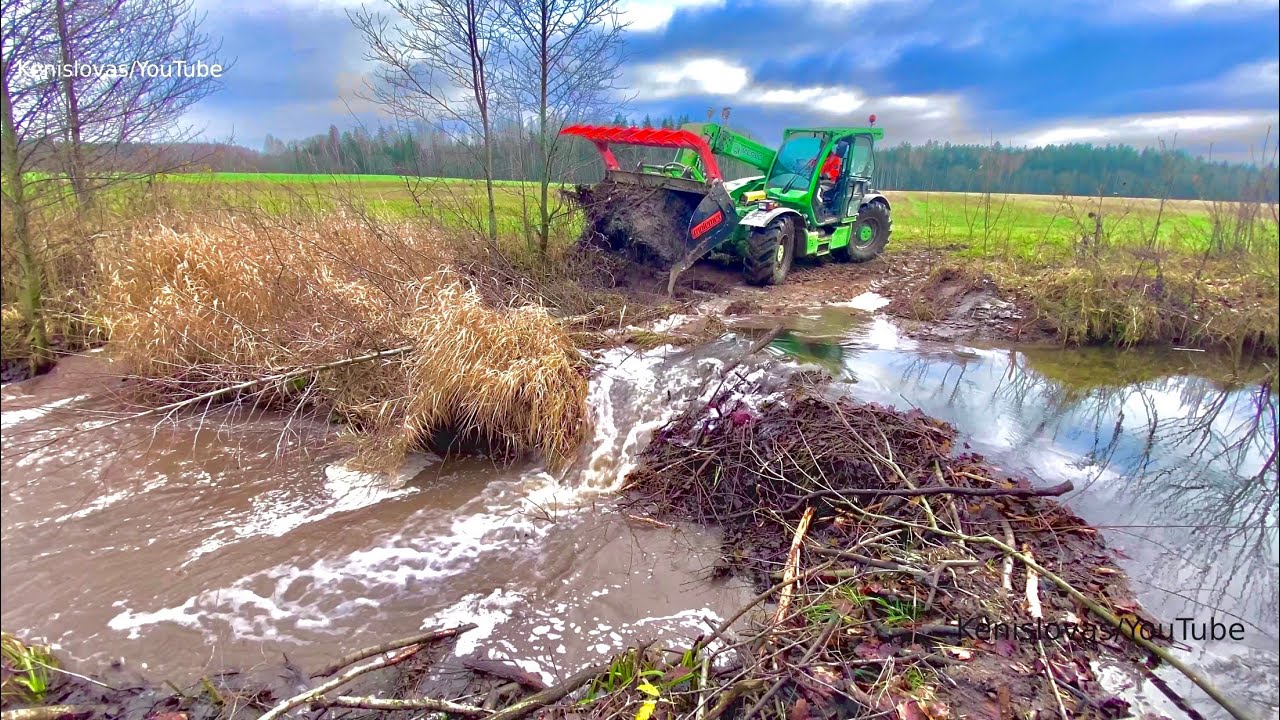 Will those MACHINES be able to break BEAVER DAMS?