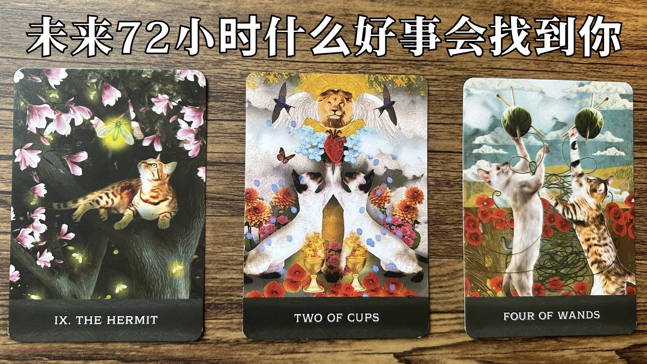 ✨✨未来的72小时会有什么好事找上你🍭🍭🍭#运势#情感关系🌜海瑟占卜