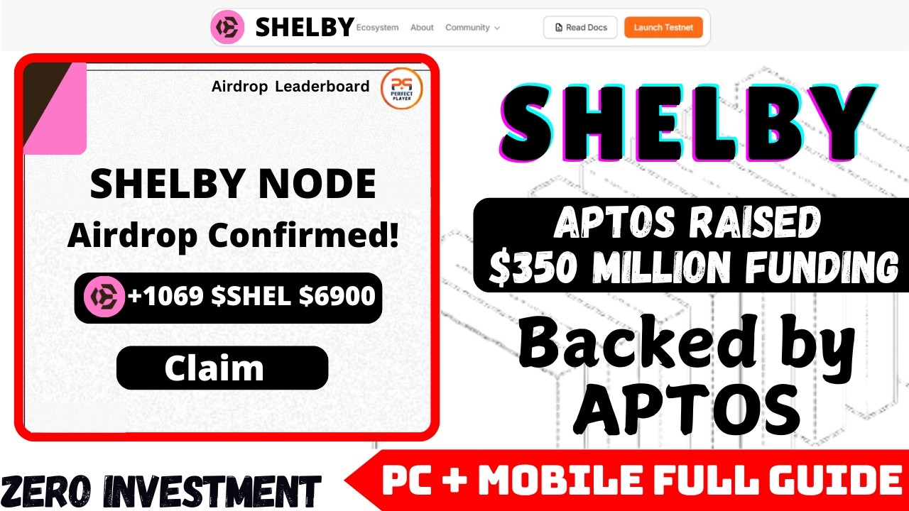Shelby CLI Node Run Full Guide | Backed by Aptos Labs $350 Million Funding Raised