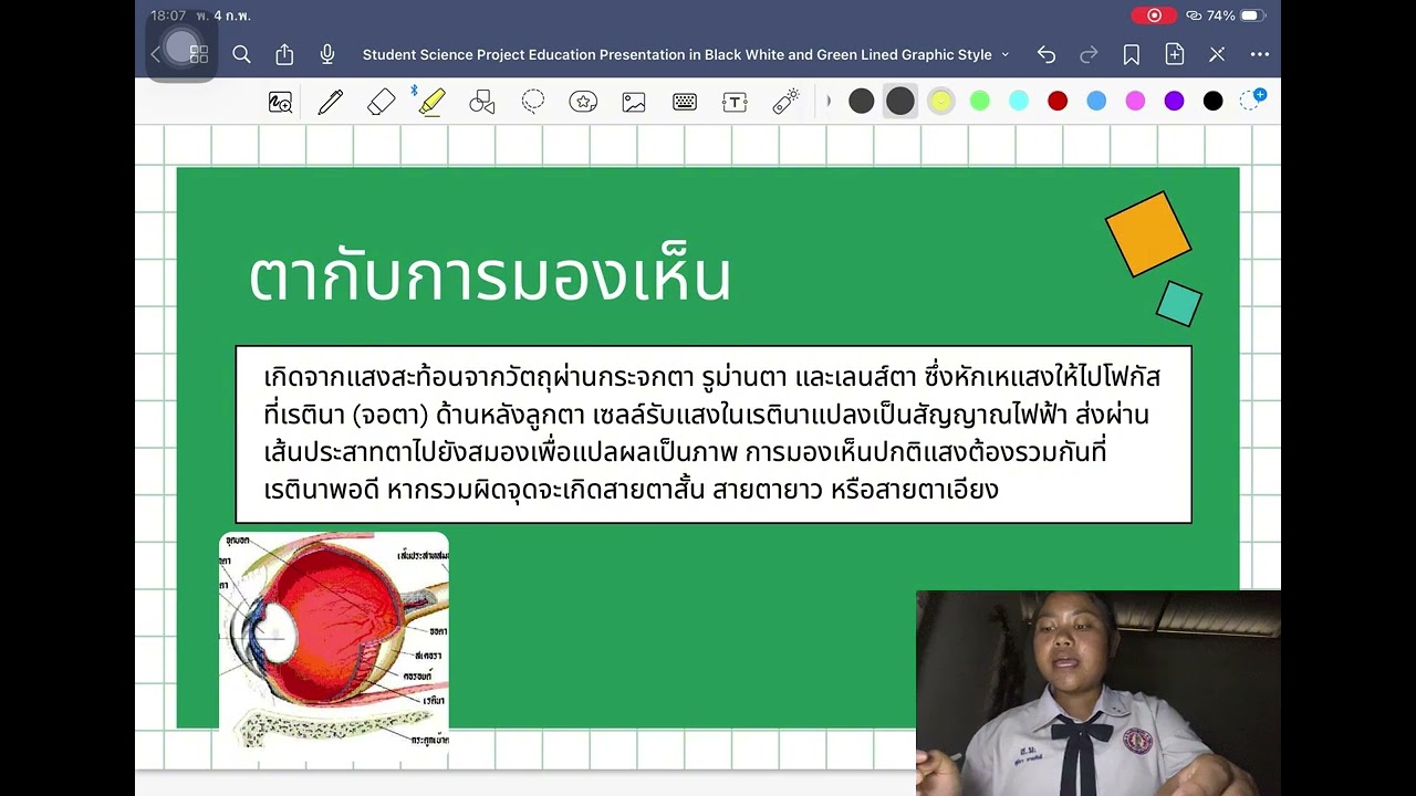 วิทยาศาสตร์กายภาพ3 เรื่องแสงสี