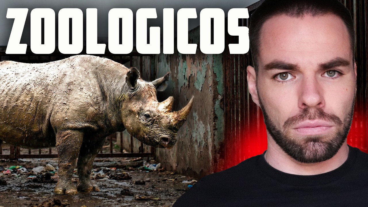 Mi opinión sobre los zoos