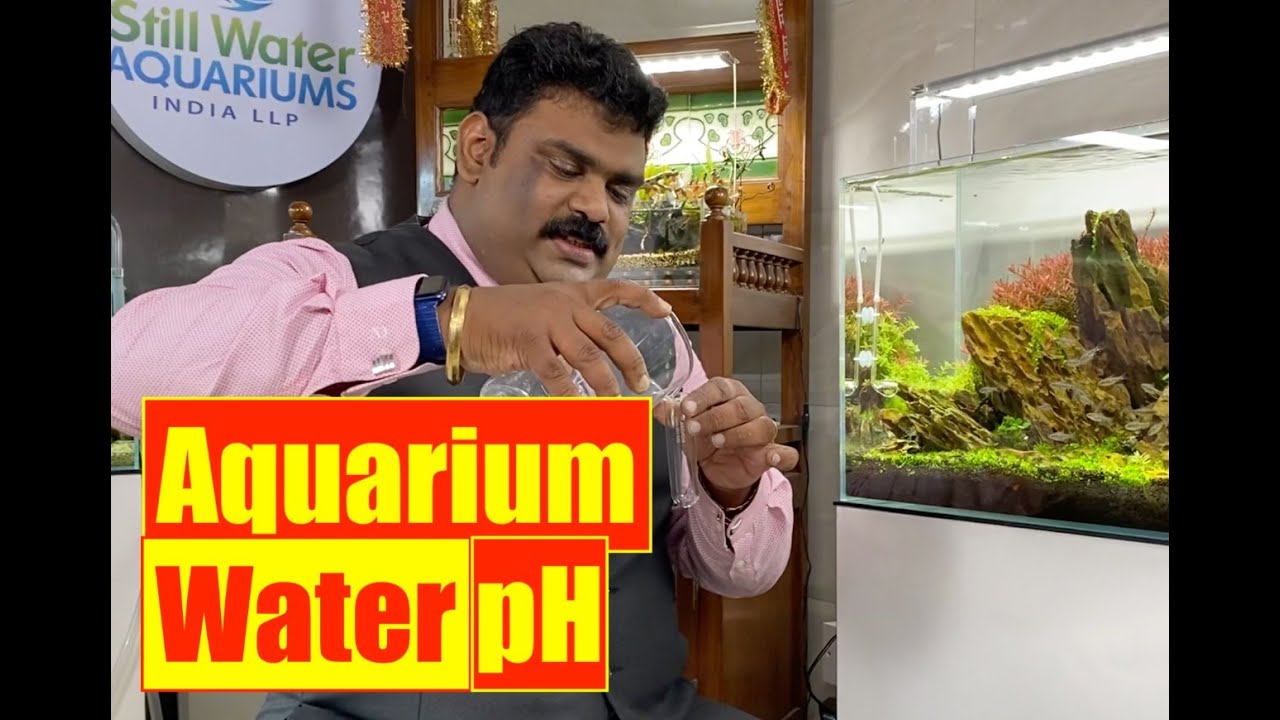 Aquarium Water pH | Fish Tank Water | How to Control Aquarium Water pH | by Dr.Subin Mathews HD1080p
