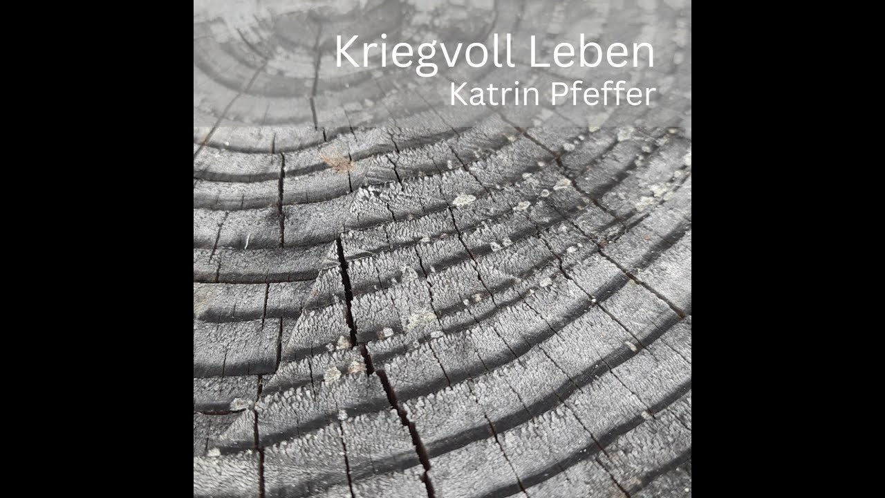 Kriegvoll Leben - Katrin Pfeffer | Acoustic Version, 444Hz Gitarre