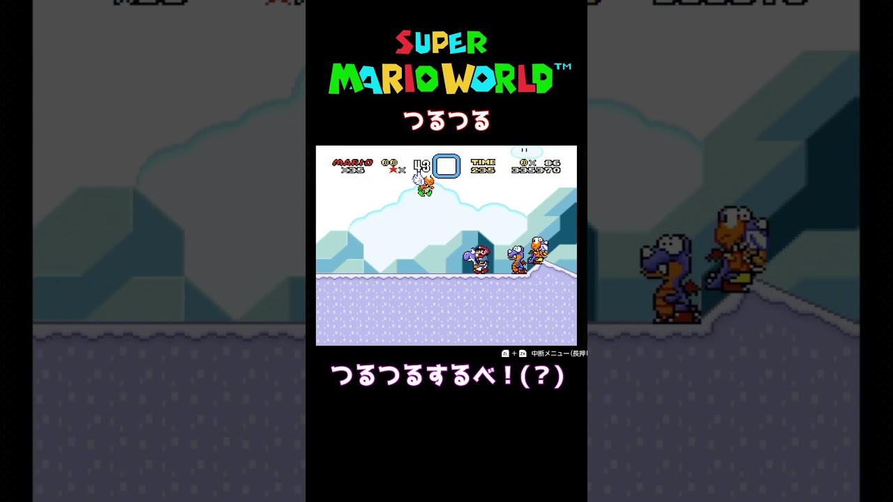 【スーパーマリオワールド】つるつる　 