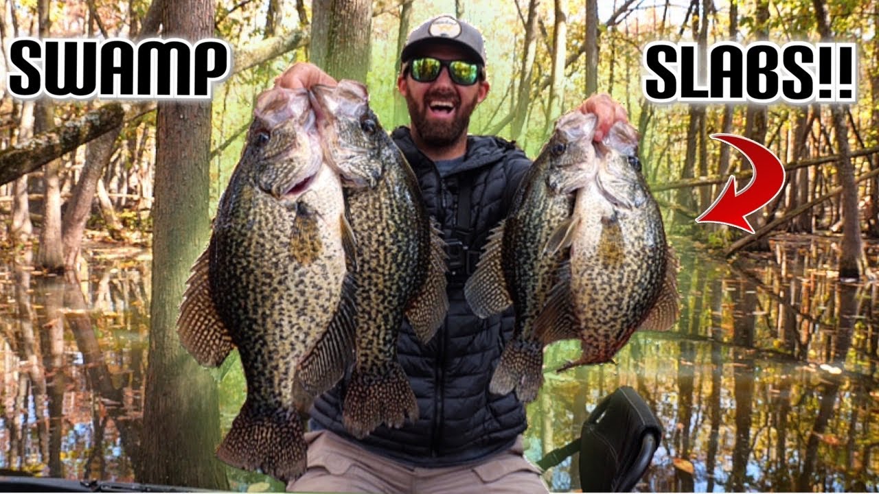 CATCHING SLAB CRAPPIE DEEP IN THE SWAMP!!! — Amazing Secret Location Produces Big Fish!