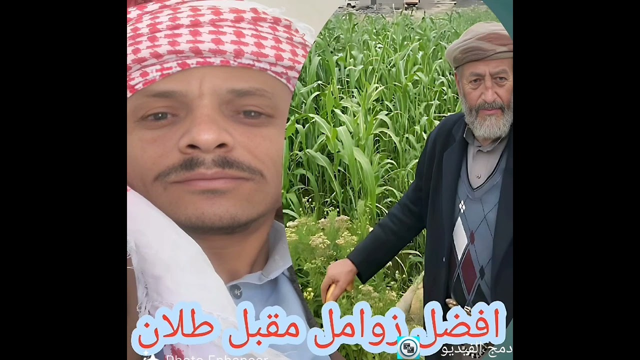 #افضل #زوامل  #الشيخ #مقبل_طلان #اليمن #صنعاء 