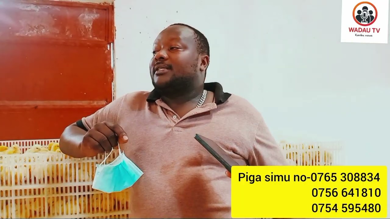TUNATOTOLESHA KUKU WA KISASA NA WA KIENYEJI PIA NA KUSAFIRISHA POPOTE UNAPOTAKA ULETEWE TUPIGIE....