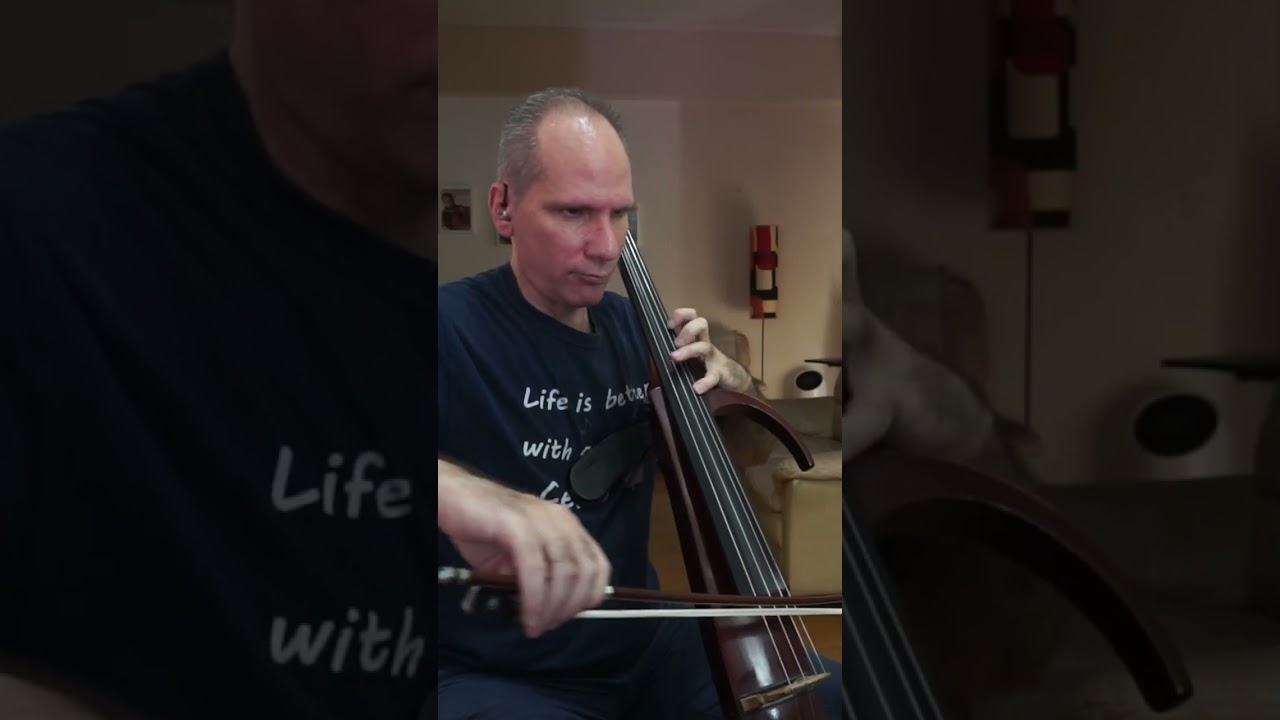 The Greatest Showman - Never Enough - Loren Allred  | Cello Cover