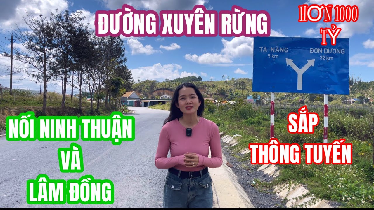 CUNG ĐƯỜNG XUYÊN RỪNG NỐI NINH THUẬN VÀ LÂM ĐỒNG SẮP THÔNG TUYẾN 06/2025 #dalatv #lamdong #ninhthuan